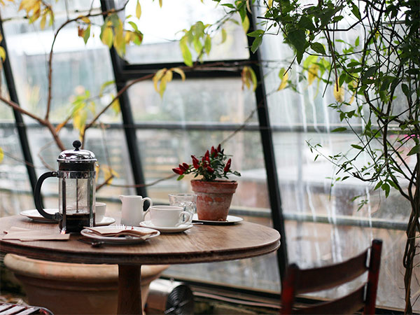 Community Cafe (Free)