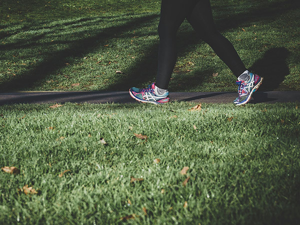 Walks with Jen (free)